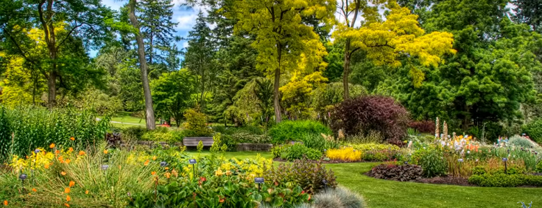 Τι μας Κάνει Καλούς ή Κακούς;